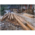 012-Log for new beams.JPG